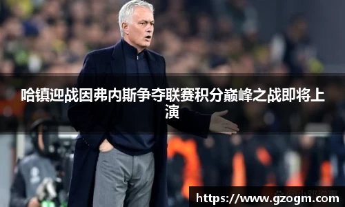 mk体育官网